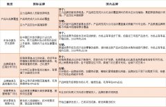 运动鞋服销售行业的分析